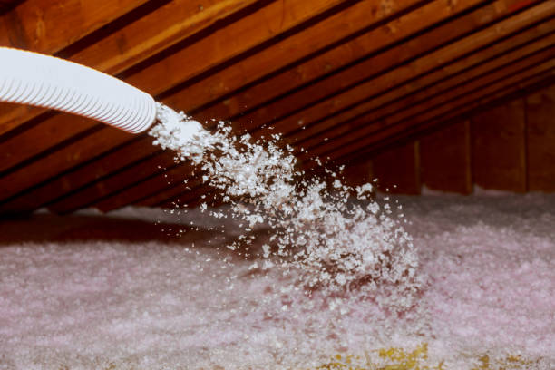 Best DIY Insulation Kits and Guidance in Milwaukie, OR